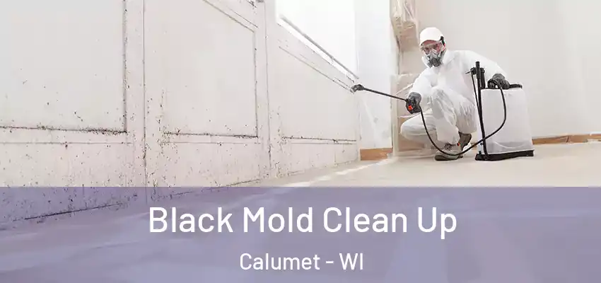 Black Mold Clean Up Calumet - WI