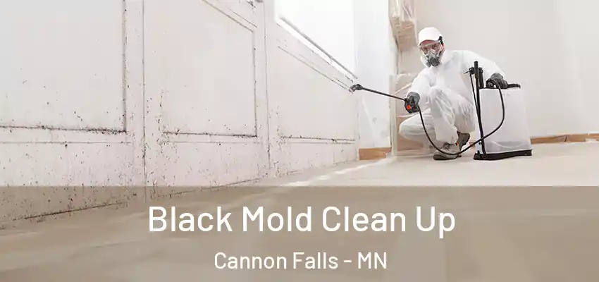 Black Mold Clean Up Cannon Falls - MN