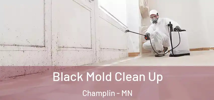 Black Mold Clean Up Champlin - MN
