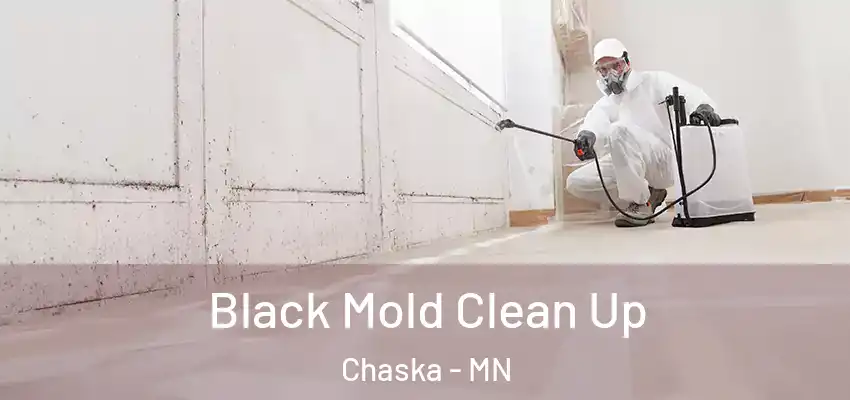  Black Mold Clean Up Chaska - MN