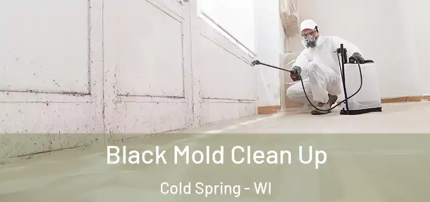  Black Mold Clean Up Cold Spring - WI