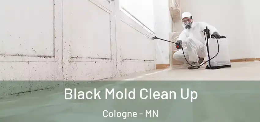  Black Mold Clean Up Cologne - MN