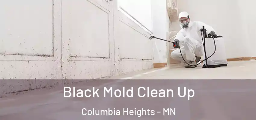  Black Mold Clean Up Columbia Heights - MN