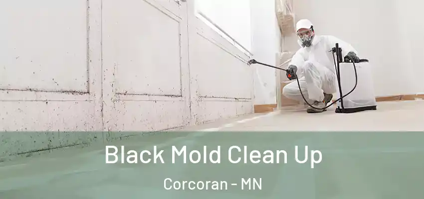  Black Mold Clean Up Corcoran - MN