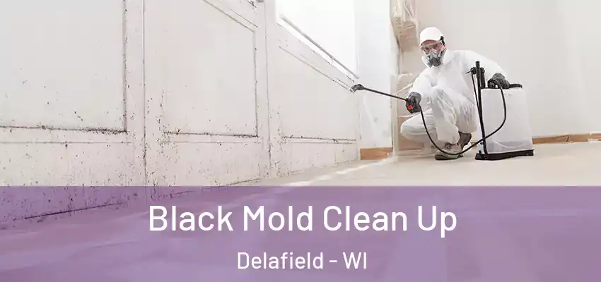 Black Mold Clean Up Delafield - WI
