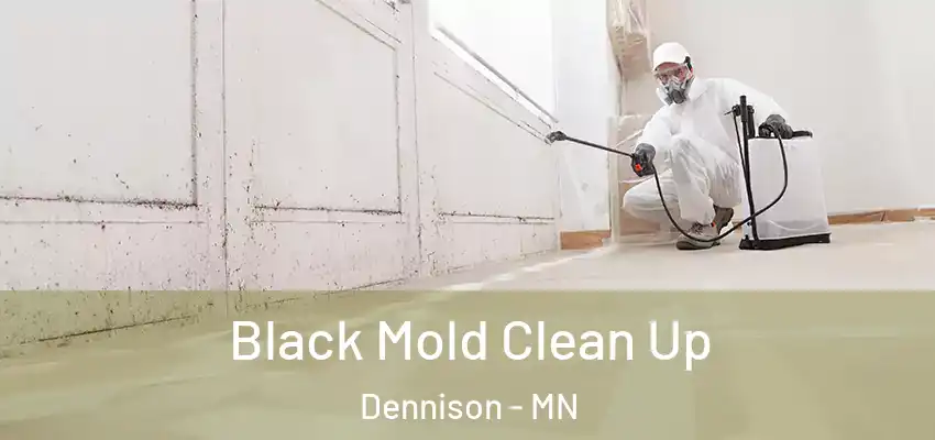  Black Mold Clean Up Dennison - MN