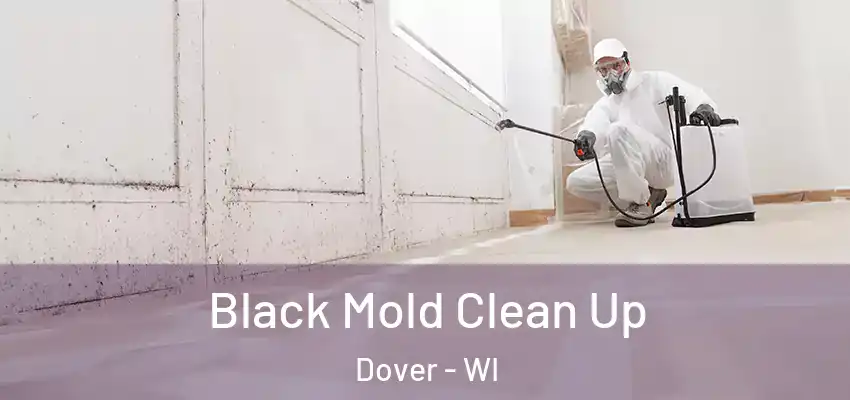  Black Mold Clean Up Dover - WI