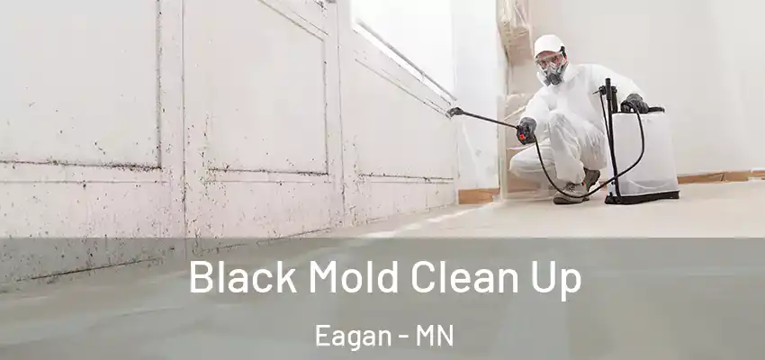  Black Mold Clean Up Eagan - MN