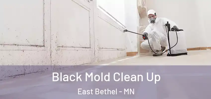  Black Mold Clean Up East Bethel - MN