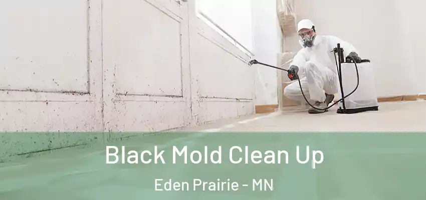  Black Mold Clean Up Eden Prairie - MN