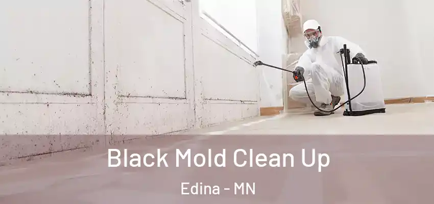  Black Mold Clean Up Edina - MN