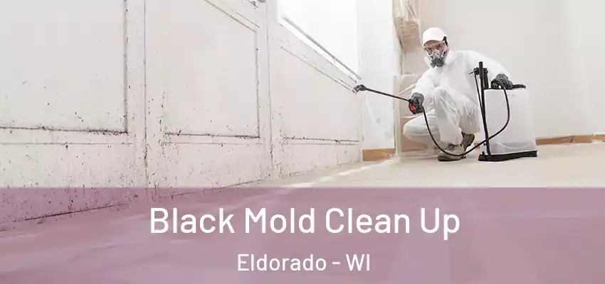  Black Mold Clean Up Eldorado - WI