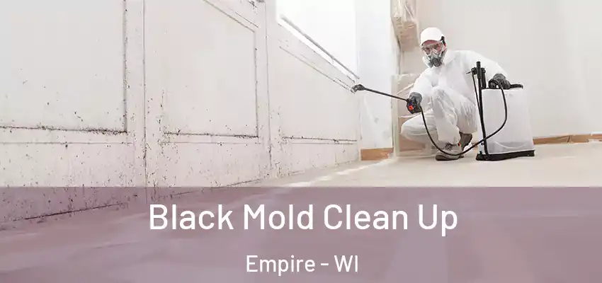 Black Mold Clean Up Empire - WI