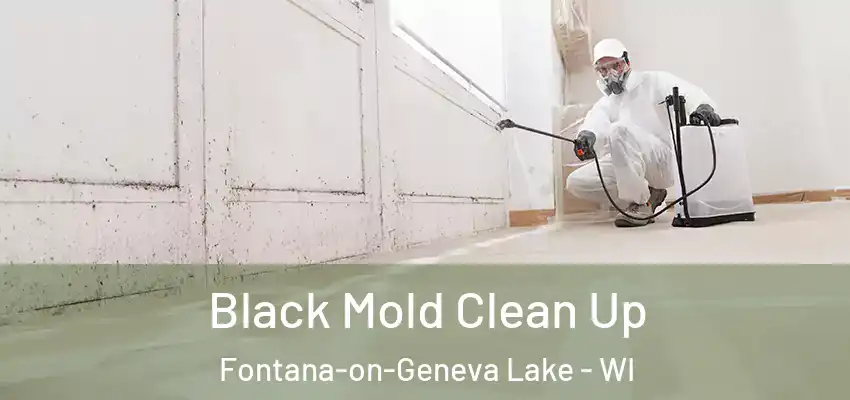  Black Mold Clean Up Fontana-on-Geneva Lake - WI