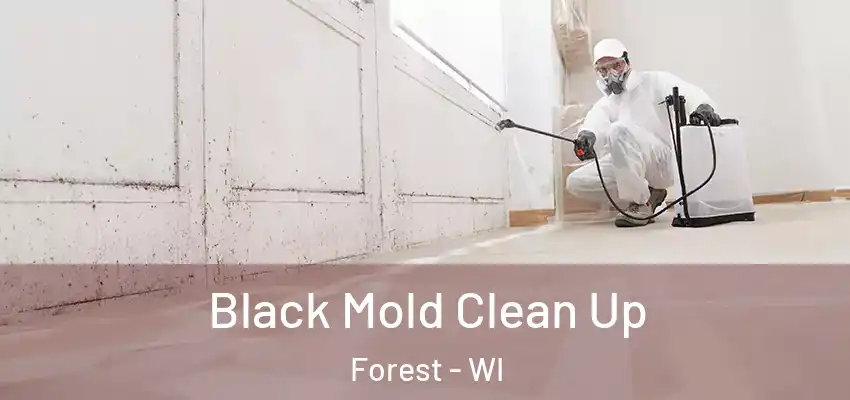 Black Mold Clean Up Forest - WI