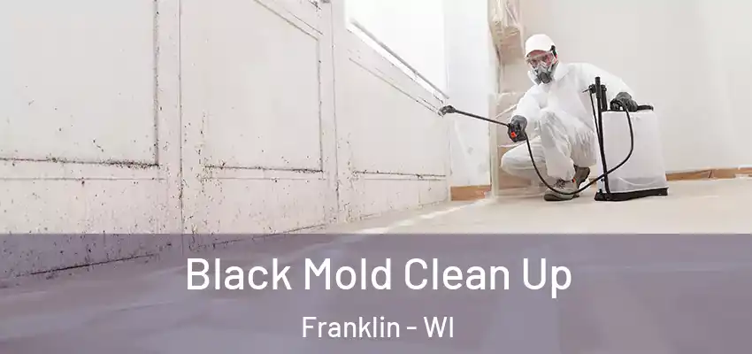  Black Mold Clean Up Franklin - WI