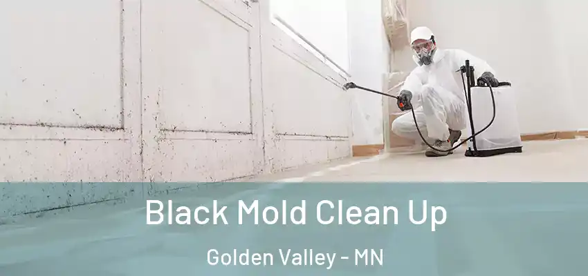  Black Mold Clean Up Golden Valley - MN