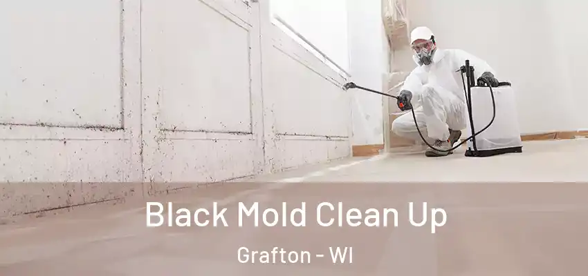  Black Mold Clean Up Grafton - WI