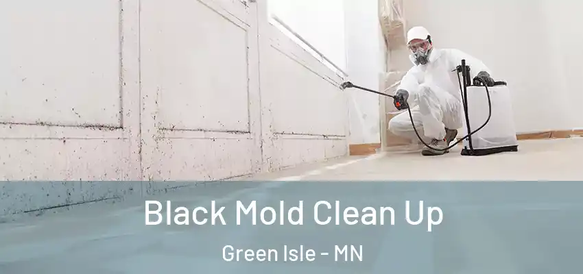  Black Mold Clean Up Green Isle - MN