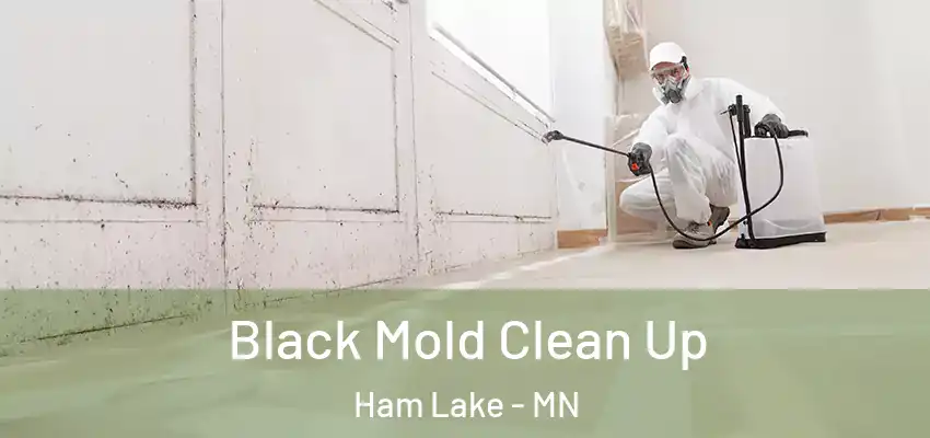  Black Mold Clean Up Ham Lake - MN