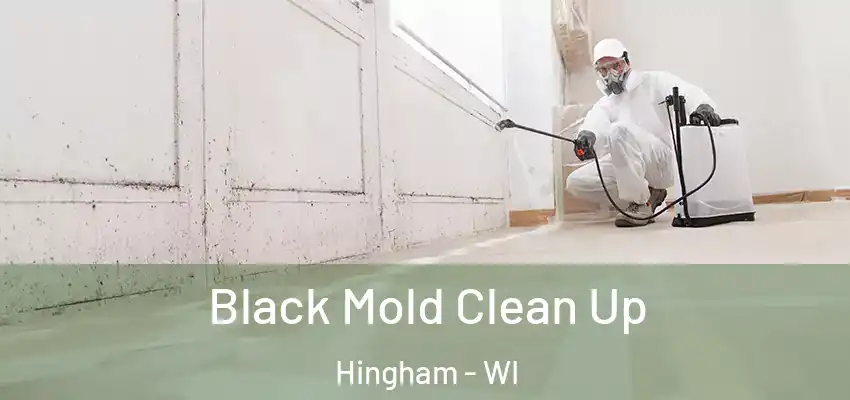 Black Mold Clean Up Hingham - WI