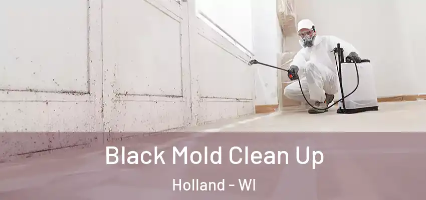  Black Mold Clean Up Holland - WI