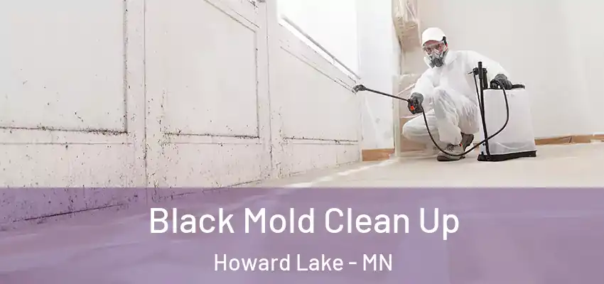  Black Mold Clean Up Howard Lake - MN