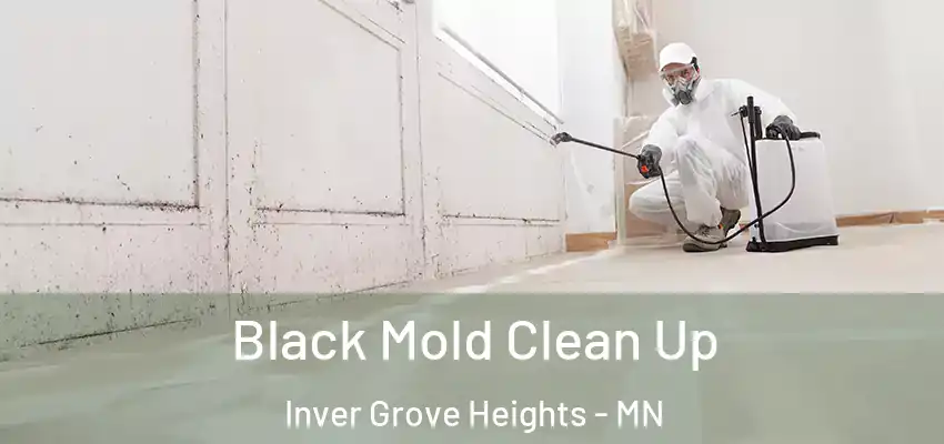 Black Mold Clean Up Inver Grove Heights - MN