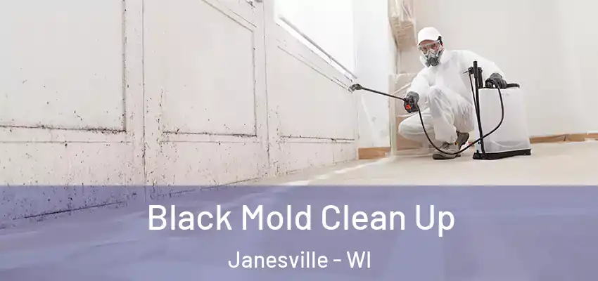  Black Mold Clean Up Janesville - WI
