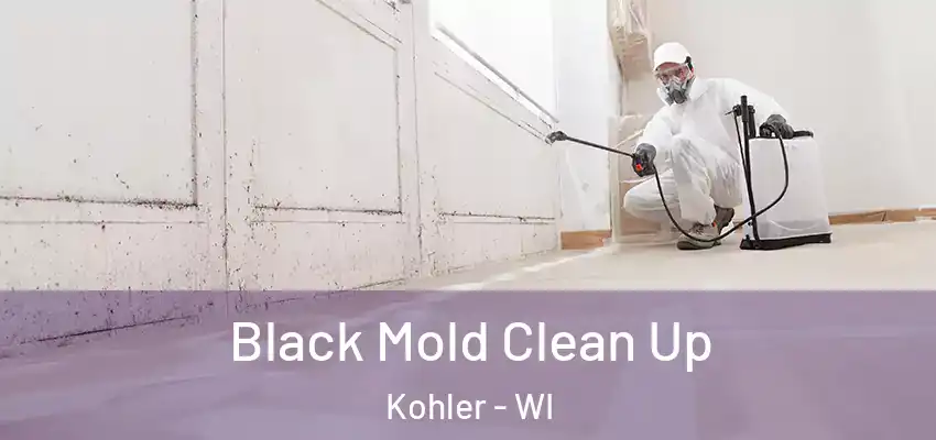  Black Mold Clean Up Kohler - WI