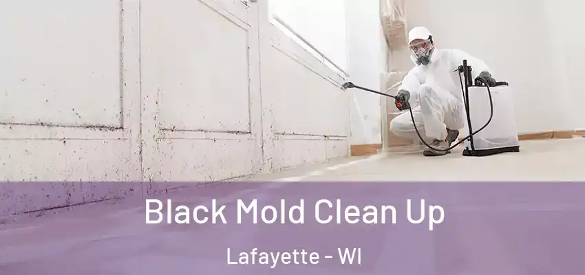 Black Mold Clean Up Lafayette - WI