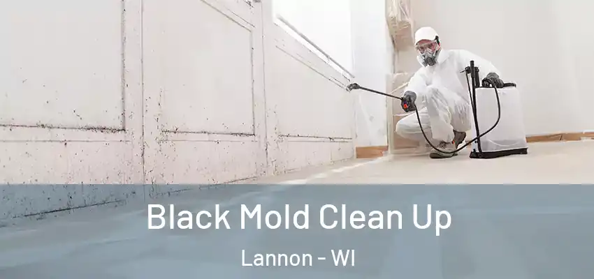  Black Mold Clean Up Lannon - WI