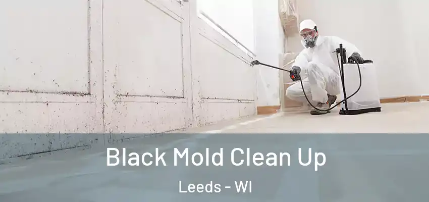  Black Mold Clean Up Leeds - WI