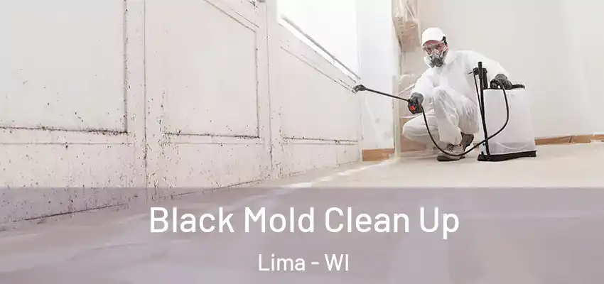 Black Mold Clean Up Lima - WI