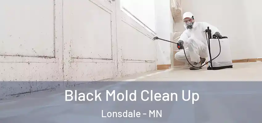  Black Mold Clean Up Lonsdale - MN
