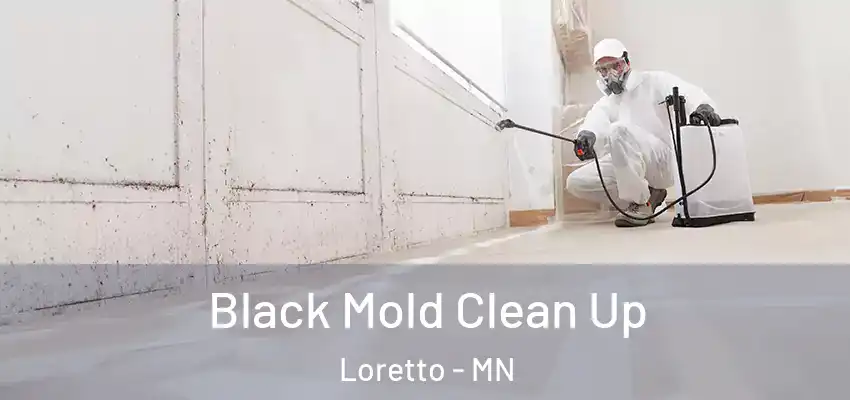 Black Mold Clean Up Loretto - MN