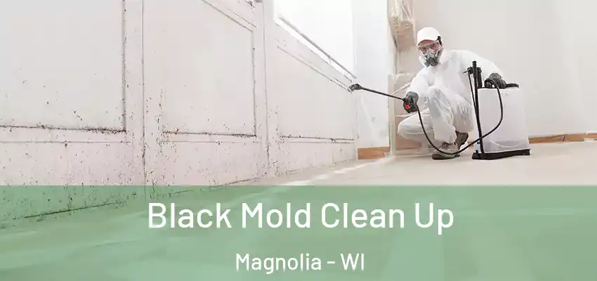  Black Mold Clean Up Magnolia - WI