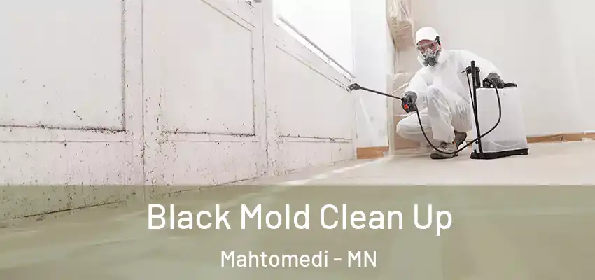  Black Mold Clean Up Mahtomedi - MN