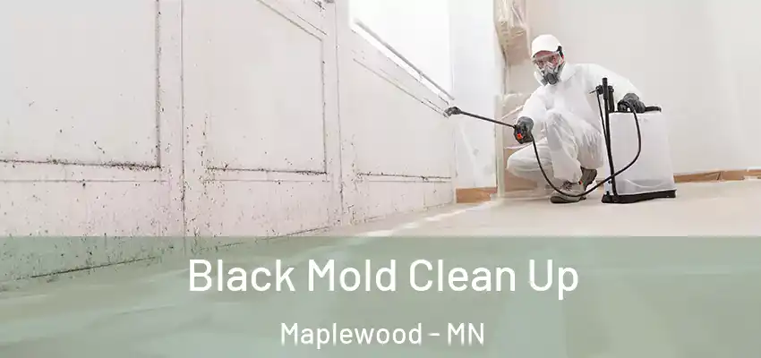  Black Mold Clean Up Maplewood - MN