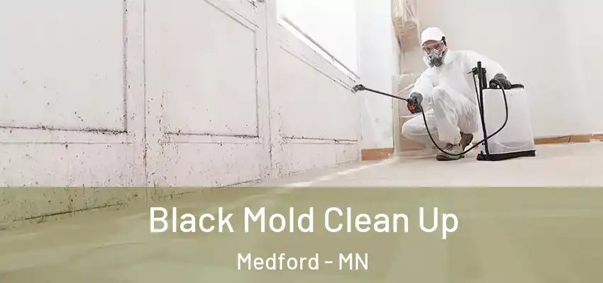  Black Mold Clean Up Medford - MN