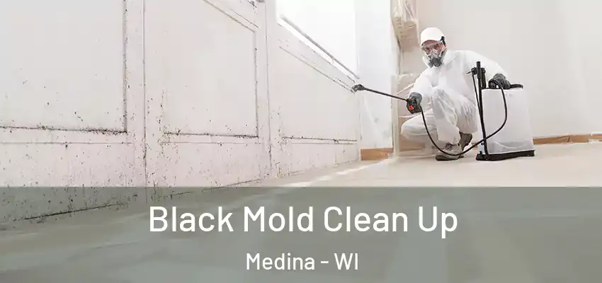  Black Mold Clean Up Medina - WI
