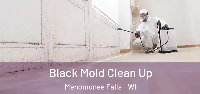  Black Mold Clean Up Menomonee Falls - WI