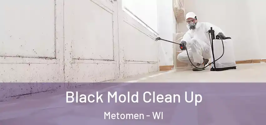  Black Mold Clean Up Metomen - WI