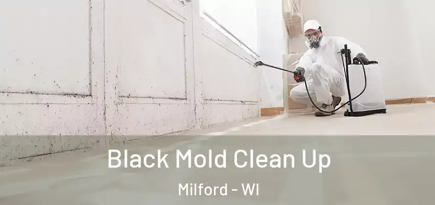 Black Mold Clean Up Milford - WI