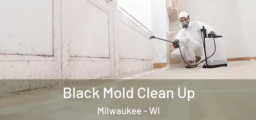  Black Mold Clean Up Milwaukee - WI