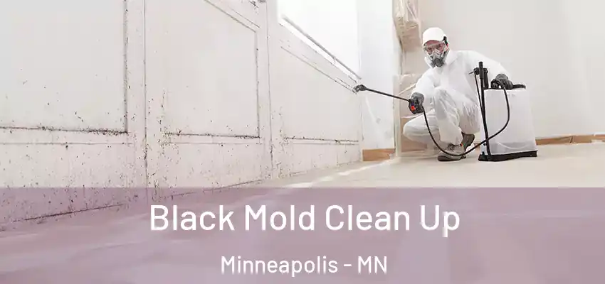  Black Mold Clean Up Minneapolis - MN