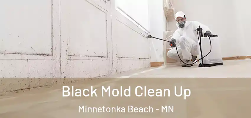  Black Mold Clean Up Minnetonka Beach - MN