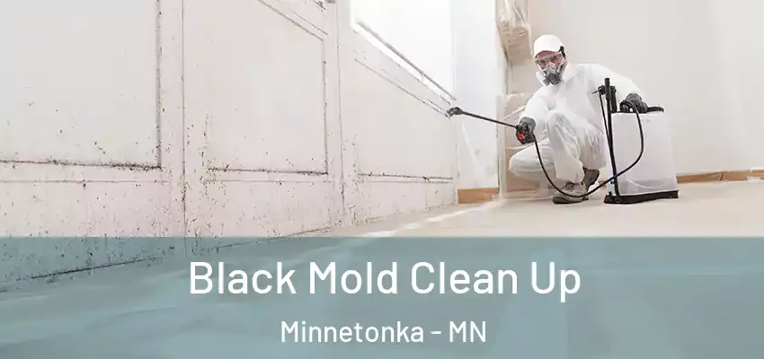  Black Mold Clean Up Minnetonka - MN