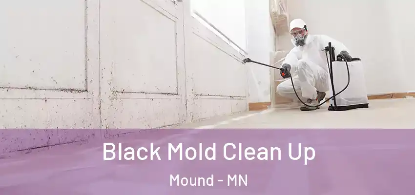  Black Mold Clean Up Mound - MN