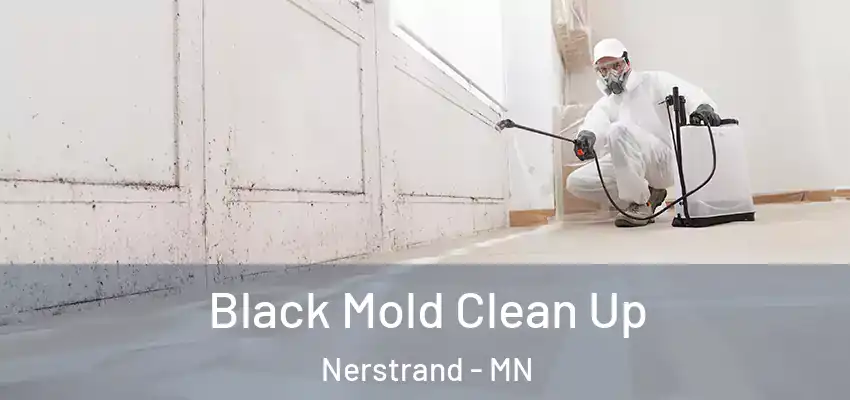 Black Mold Clean Up Nerstrand - MN